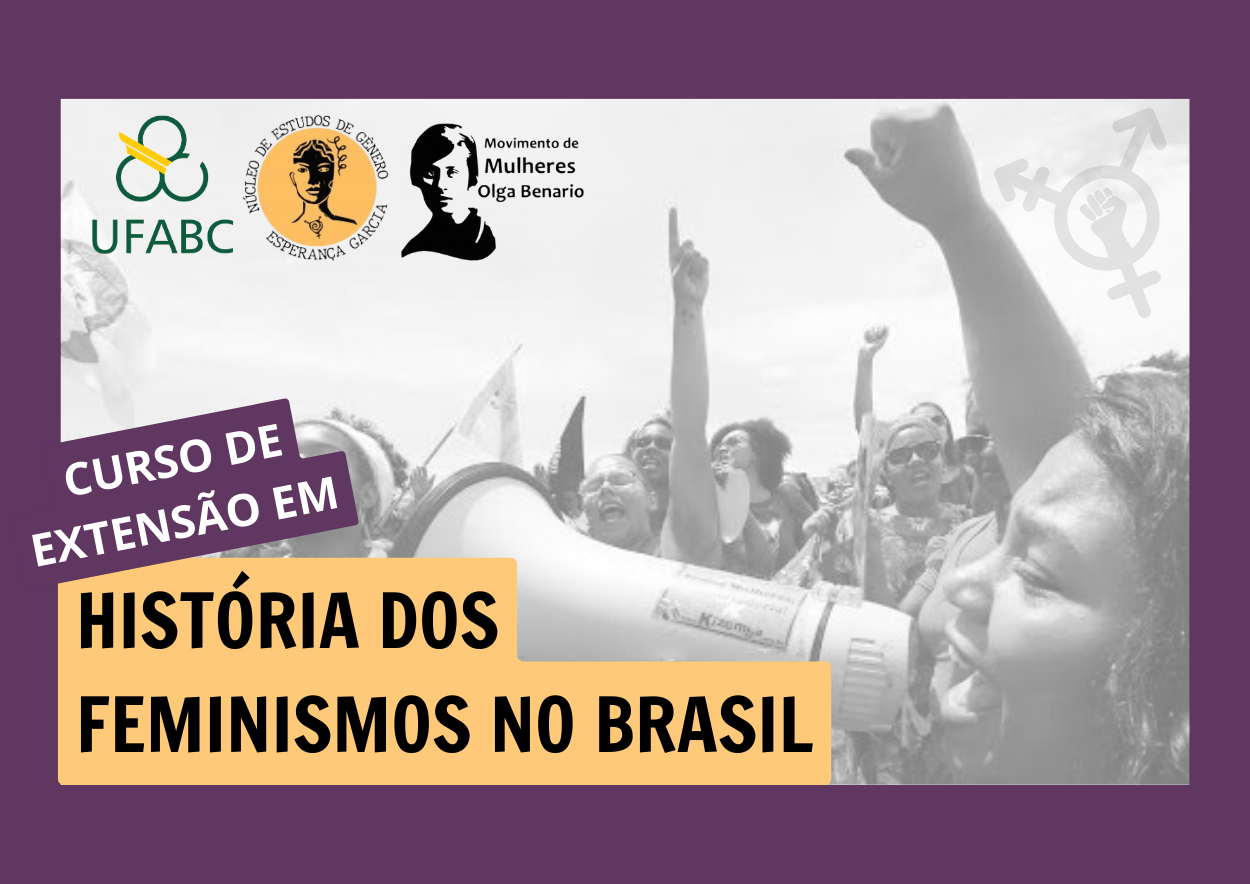 historia feminismos brasil card